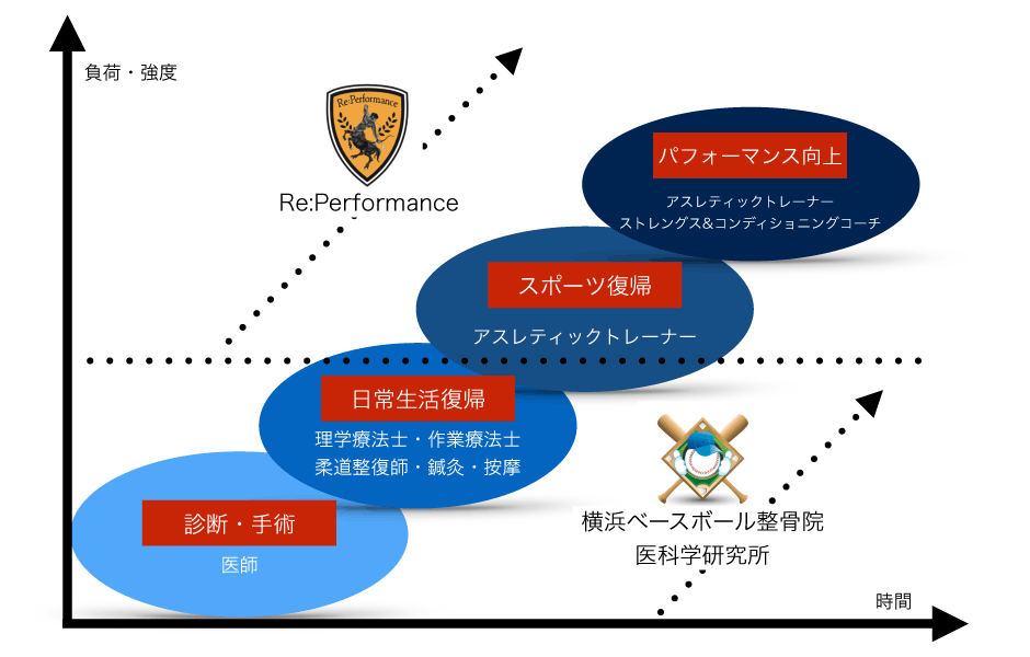 当施設の役割・領域